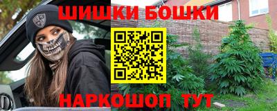 индика Кулебаки