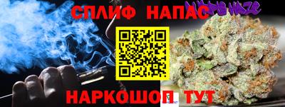 индика Кулебаки
