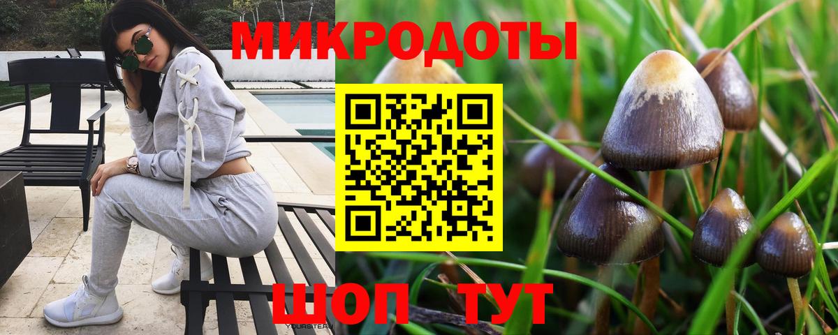Донской  Псилоцибиновые грибы Psilocybine cubensis  Псилоцибиновые грибы прущие грибы  Вход с VPN 