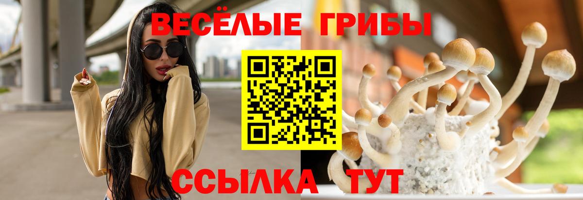 Галлюциногенные грибы мухоморы Донской
