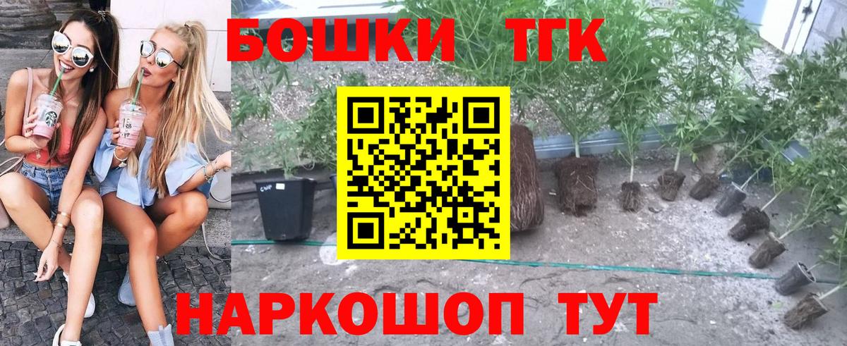 Шишки марихуана OG Kush Донской